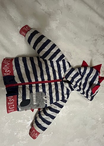 Çizgili ve Nakışlı Erkek Çocuk Mont - Görsel 2