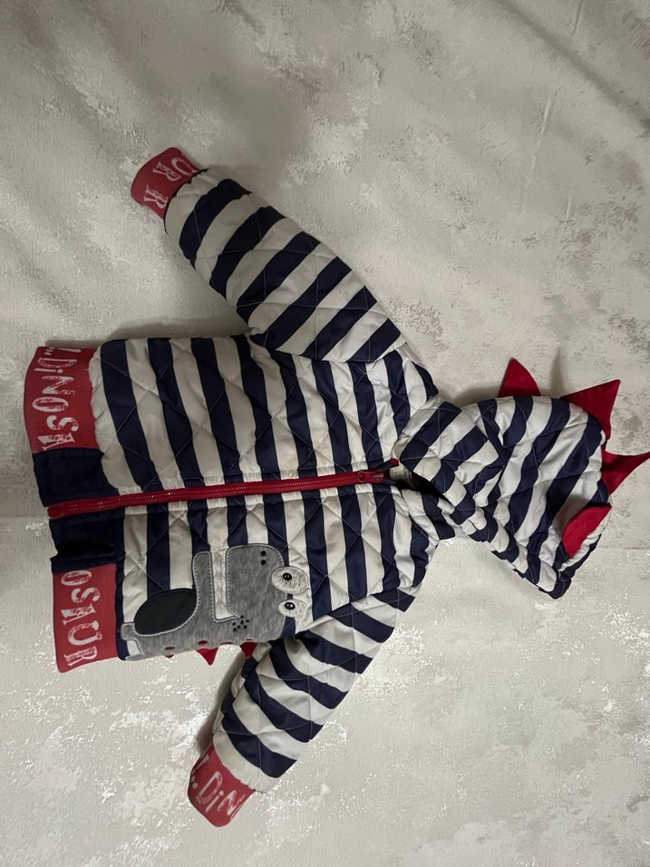 Çizgili ve Nakışlı Erkek Çocuk Mont - Görsel 2