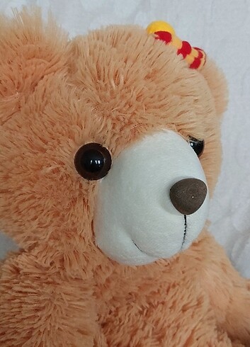 PELUŞ AYI