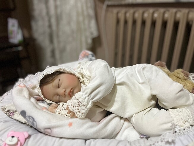 Diğer Reborn bebek