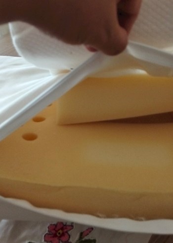 Beyaz kiraz çekirdekli reflü yatağı - Görsel 8