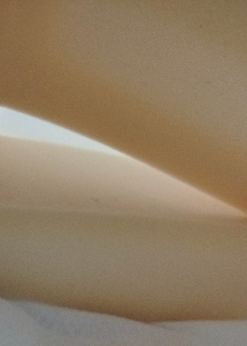 Beyaz kiraz çekirdekli reflü yatağı - Görsel 7