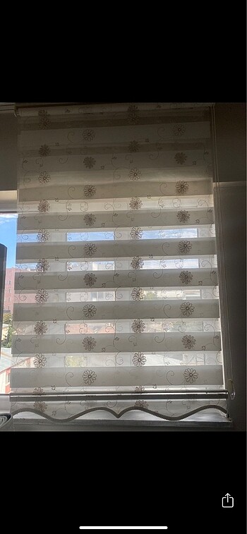Zebra perde