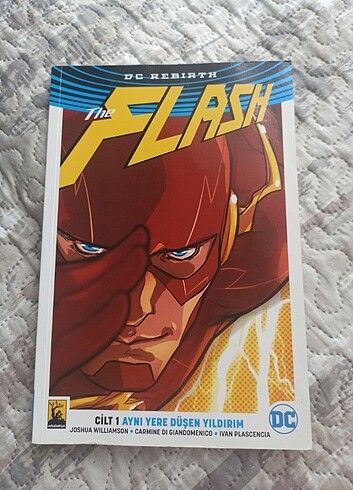 the flash 