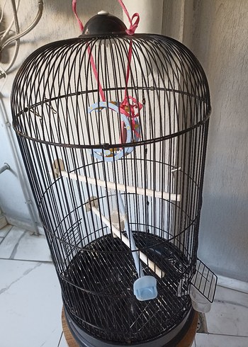 Kafes kuş kafesi 34x68 cm ölçüleri - Görsel 3