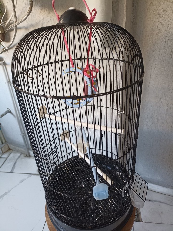 Kafes kuş kafesi 34x68 cm ölçüleri - Görsel 3