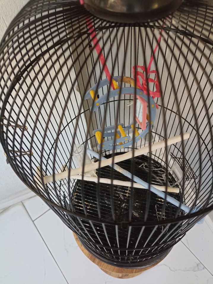 Kafes kuş kafesi 34x68 cm ölçüleri - Görsel 2