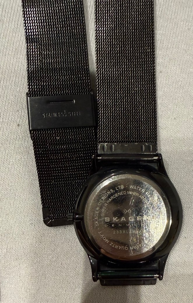 Skagen Erkek Saati - Görsel 2