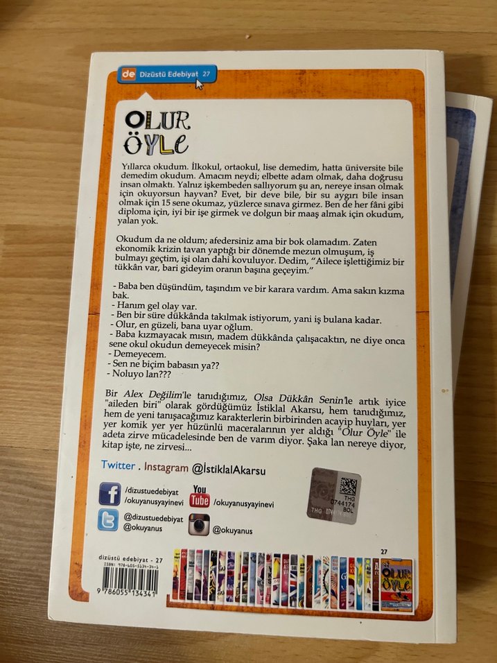 Olur Öyle - İstiklal Akarsu - Görsel 2