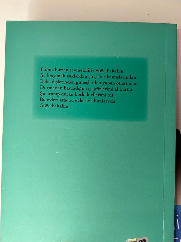 Turgut Uyar - Göğe Bakma Durağı - Görsel 2
