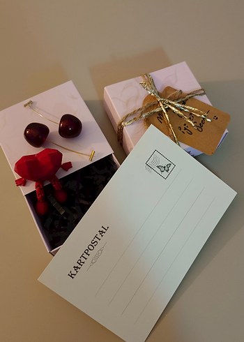 Bordo Kiraz Küpe Hediye Kutusu - Görsel 2