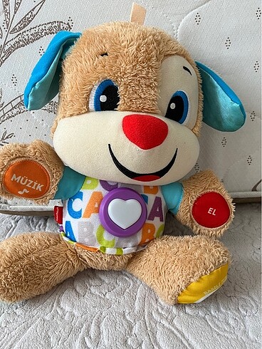  Beden Konuşan köpeklik