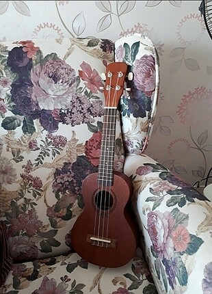 Ukulele 