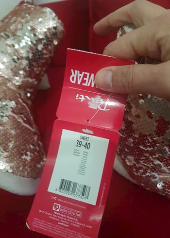 penti ev botu - Görsel 4