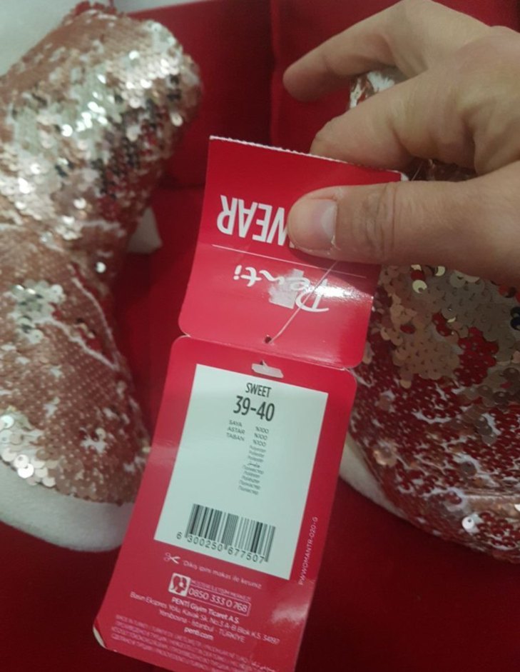 penti ev botu - Görsel 4