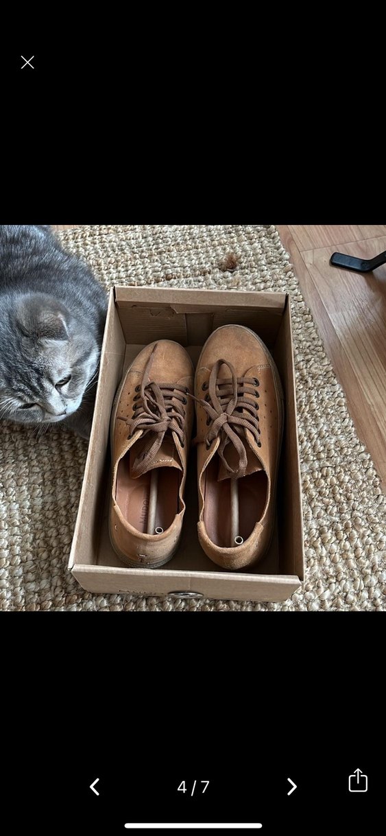 Süet Kadın Spor Ayakkabı - Görsel 5