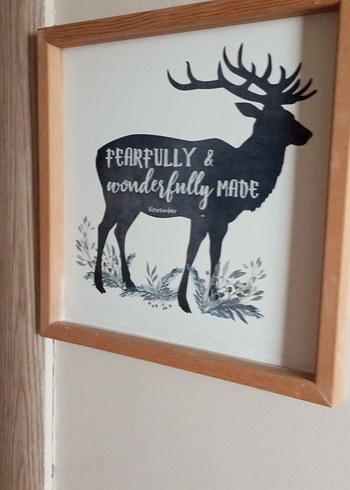 Bej Ahşap Çerçeveli Doğa Temalı Duvar Panoları - Görsel 5