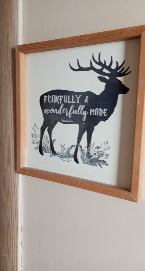 Bej Ahşap Çerçeveli Doğa Temalı Duvar Panoları - Görsel 5