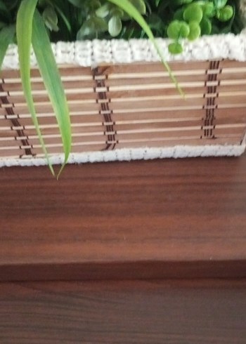 Hasır Kutuda Canlı Görünümlü Yeşil Bitkiler - Görsel 3