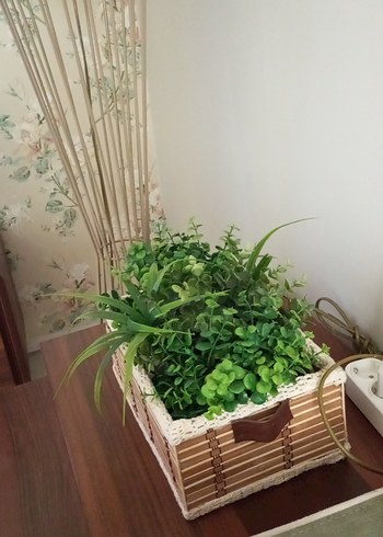 Hasır Kutuda Canlı Görünümlü Yeşil Bitkiler - Görsel 4