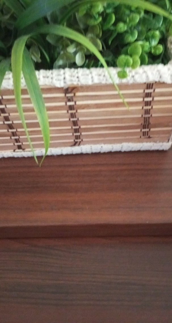 Hasır Kutuda Canlı Görünümlü Yeşil Bitkiler - Görsel 3