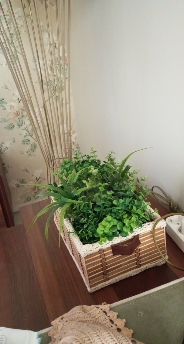 Hasır Kutuda Canlı Görünümlü Yeşil Bitkiler - Görsel 4