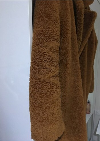 Bayan kaban - Görsel 2