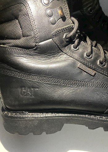 CAT Bot Orijinal - Görsel 3