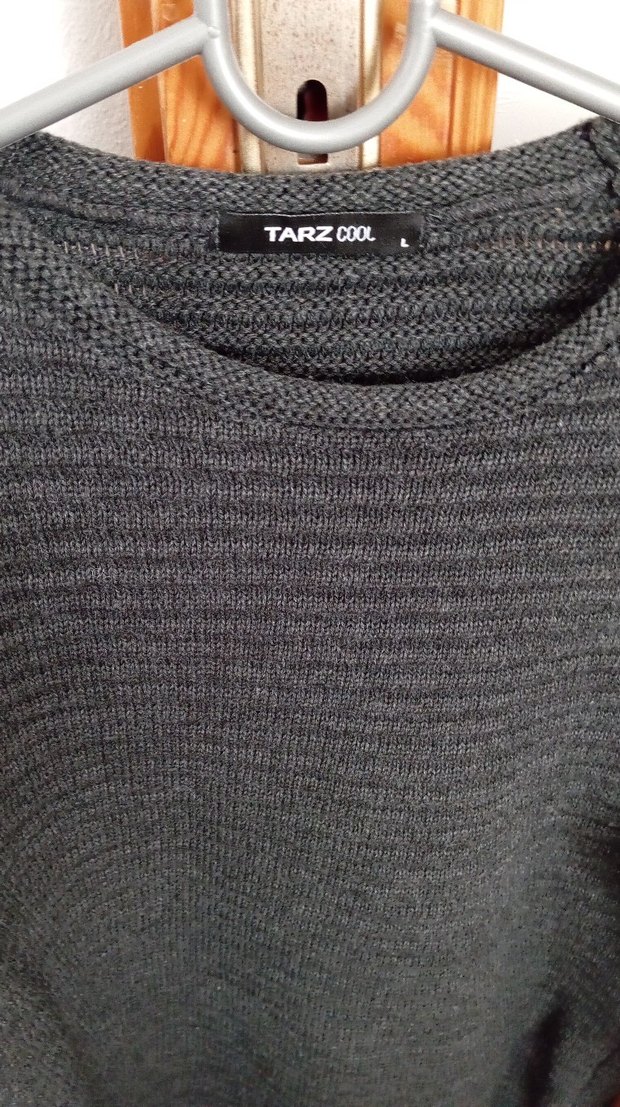 Erkek kazak - Görsel 2