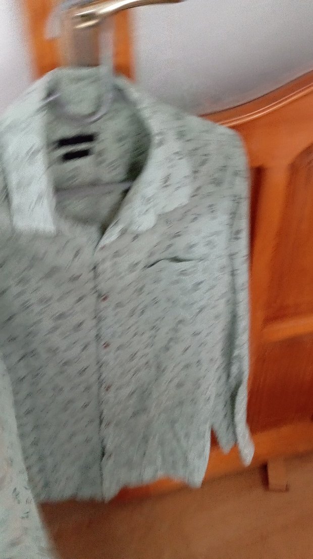 Yeşil Baskılı Pamuklu Uzun Kollu Erkek Gömlek - Görsel 2