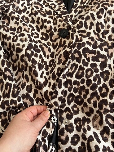 36 Beden Leopar veket