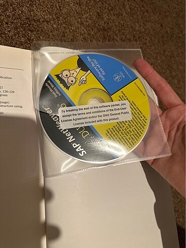 Beden Renk Dummies SAP CISSP Set