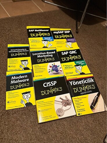 Dummies SAP CISSP Set