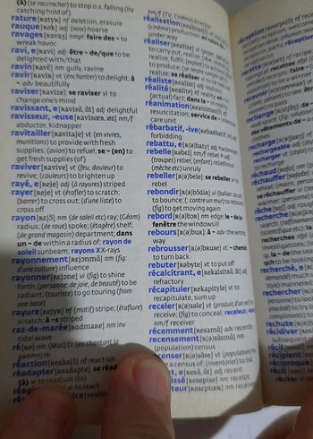 Collins Fransızca Sözlük Renkli 30. Yıl Özel - Görsel 2