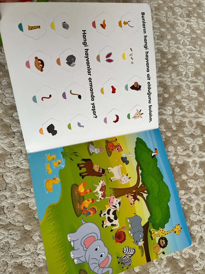 Bul Bil Kelimeler - Yeti Kitap - Görsel 3