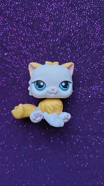 LPS minişler iran kedi #207