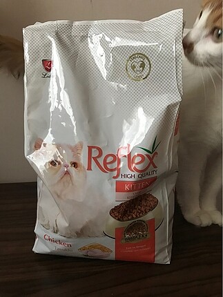Reflex yavru kedi maması