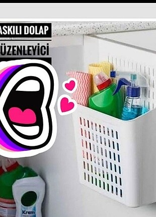 Duzenleyici