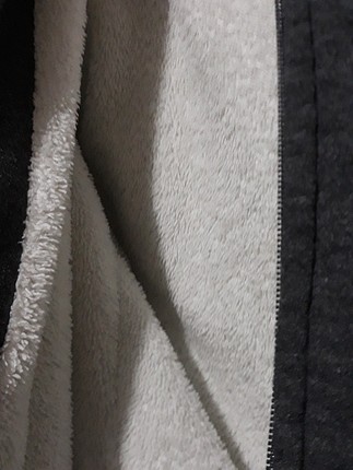 Hollister hollister swith