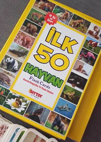 İlk 100 Sözcük ve İlk 50 Hayvan Flash Kartları - Görsel 5