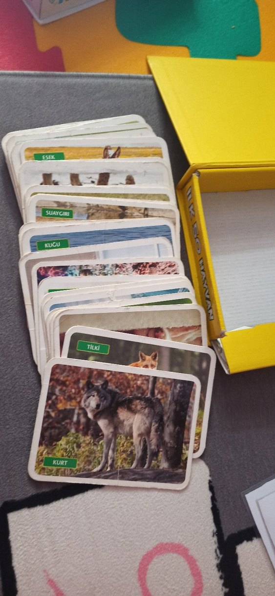 İlk 100 Sözcük ve İlk 50 Hayvan Flash Kartları - Görsel 4