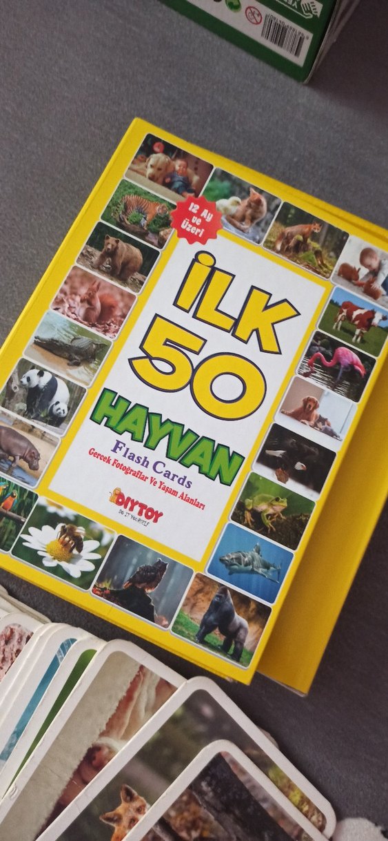 İlk 100 Sözcük ve İlk 50 Hayvan Flash Kartları - Görsel 5