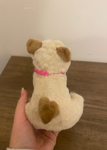 Fur Real Friends Dress Me Babies Kedi - Görsel 5