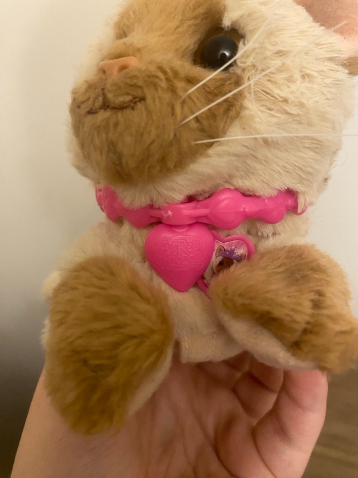 Fur Real Friends Dress Me Babies Kedi - Görsel 3