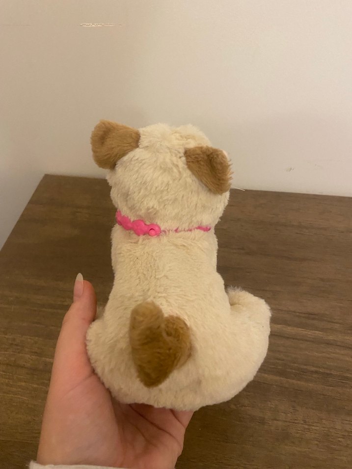 Fur Real Friends Dress Me Babies Kedi - Görsel 5