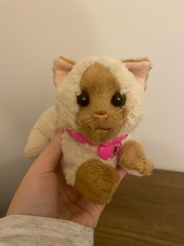 Fur Real Friends Dress Me Babies Kedi - Görsel 2