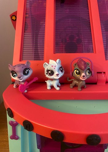 Lps Miniş Pawza Otel - Görsel 13