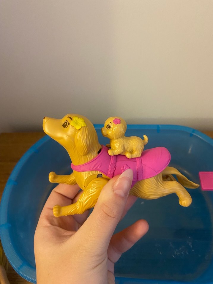 Barbie Ve Köpeği Havuz Partisi - Görsel 4