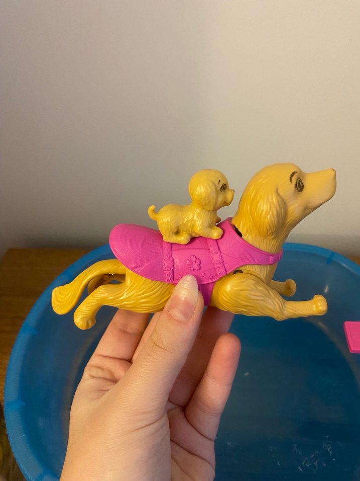 Barbie Ve Köpeği Havuz Partisi - Görsel 5