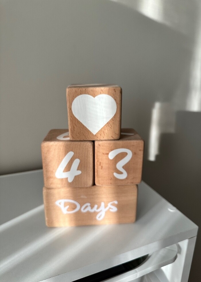 Aylık çekim için kullanılan ahşap bloklar - Görsel 2